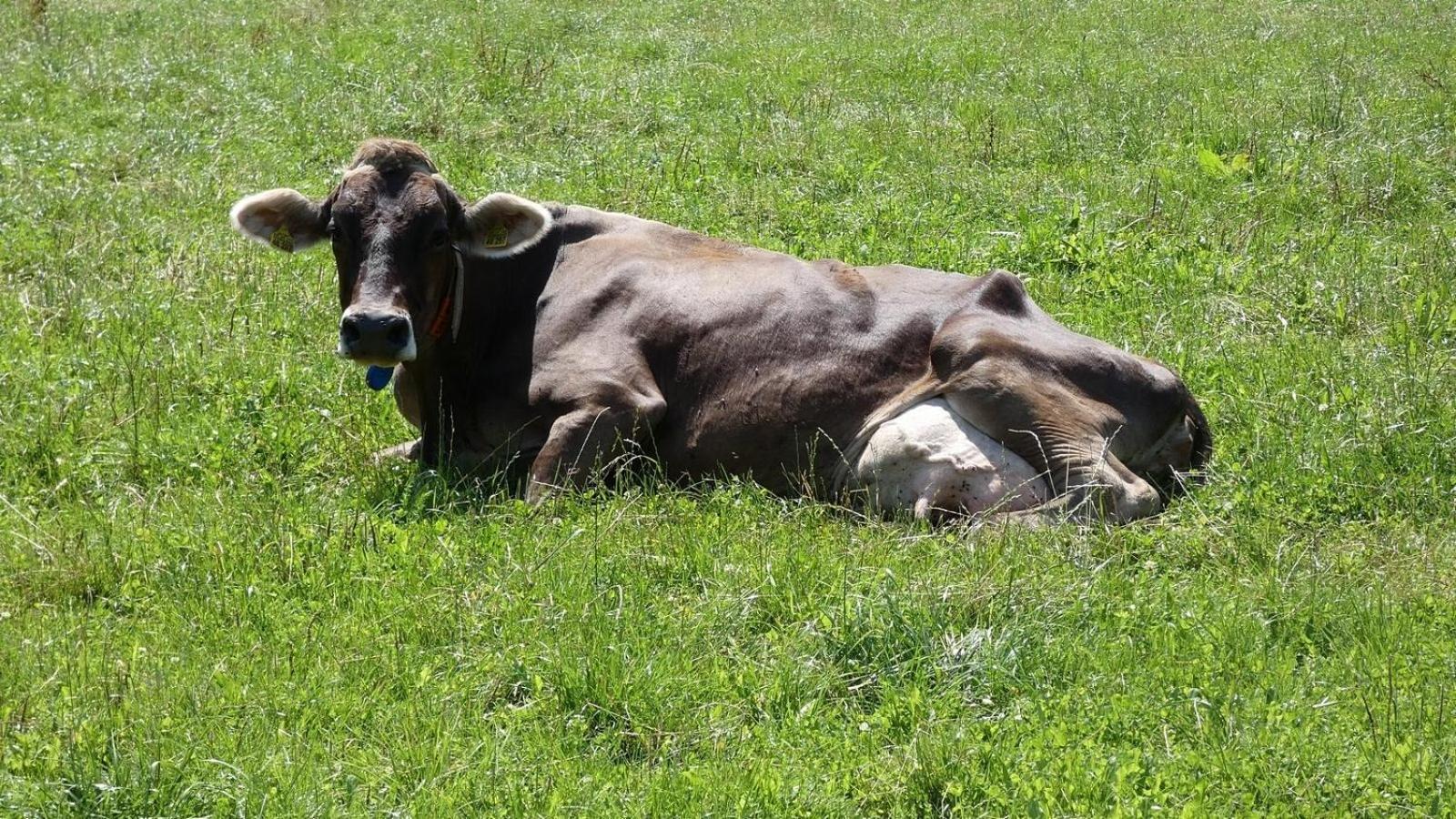 Ferienwohnung Nr 5, Lechbruck-Gruendl, Allgaeu Prem Zewnętrze zdjęcie